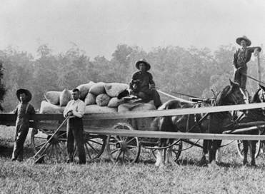 W-015 - Walter Threshing -Henry, Philip Reist, Dan, Herman Bender.jpg